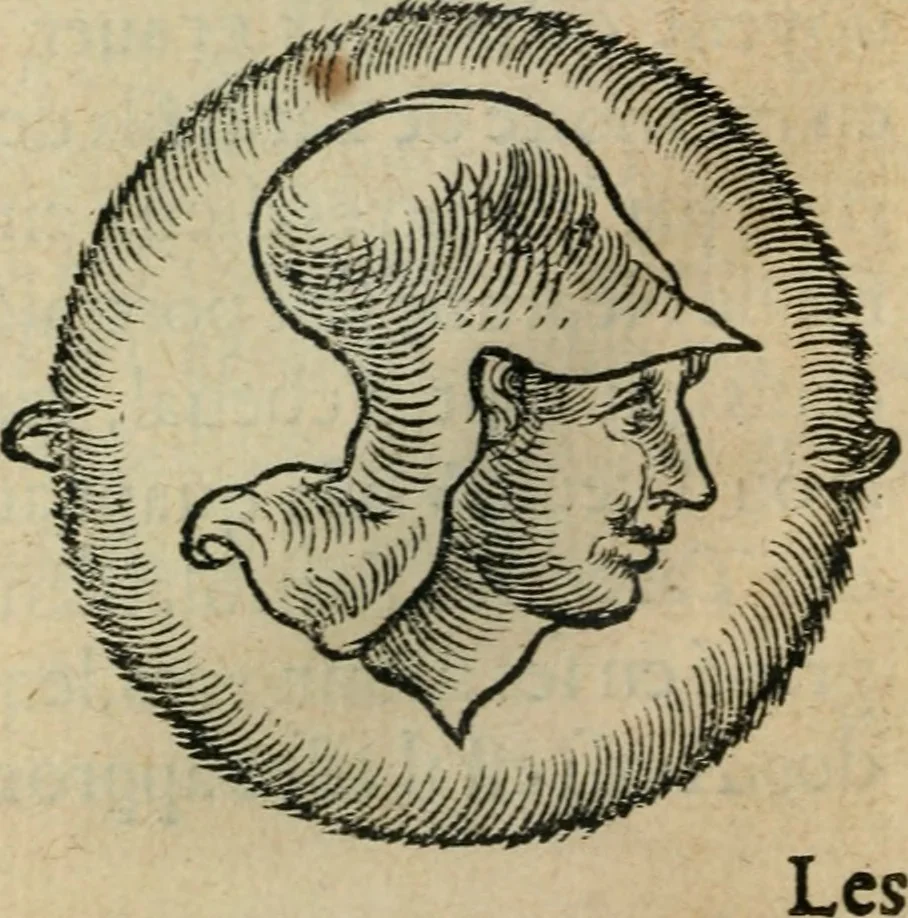 An illustration from L'histoire naturelle des estranges poissons marins, avec la vraie peincture & description du daulphin, & de plusieurs autres de son espece, 1551, leaf 29