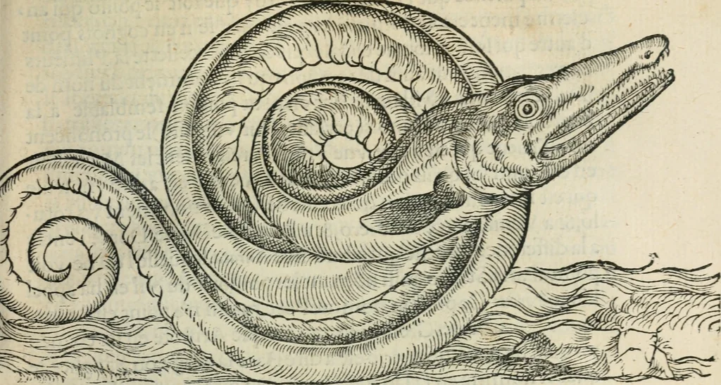 An illustration from L'histoire naturelle des estranges poissons marins, avec la vraie peincture & description du daulphin, & de plusieurs autres de son espece, 1551, leaf 44