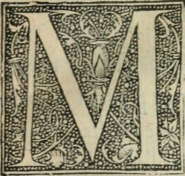 An illustration from L'histoire naturelle des estranges poissons marins, avec la vraie peincture & description du daulphin, & de plusieurs autres de son espece, 1551, leaf 8