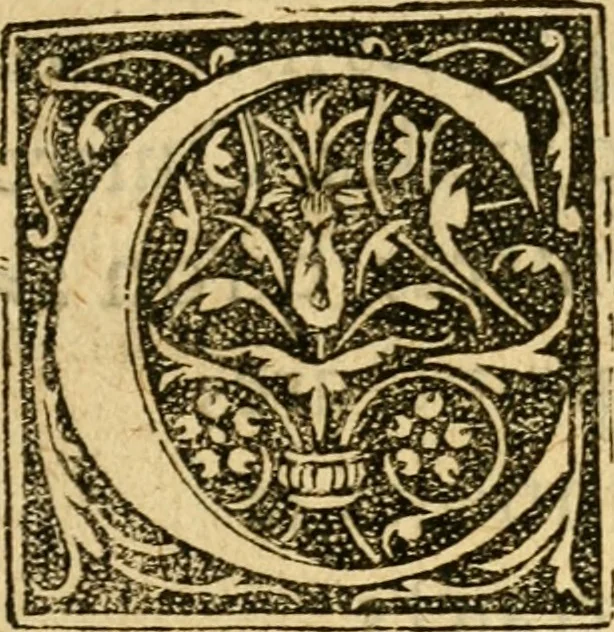 An illustration from L'histoire naturelle des estranges poissons marins, avec la vraie peincture & description du daulphin, & de plusieurs autres de son espece, 1551, leaf 10