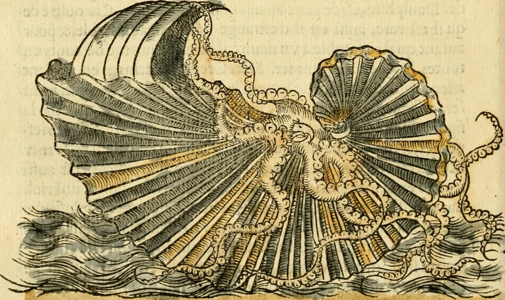 An illustration from L'histoire naturelle des estranges poissons marins, avec la vraie peincture & description du daulphin, & de plusieurs autres de son espece, 1551, leaf 109