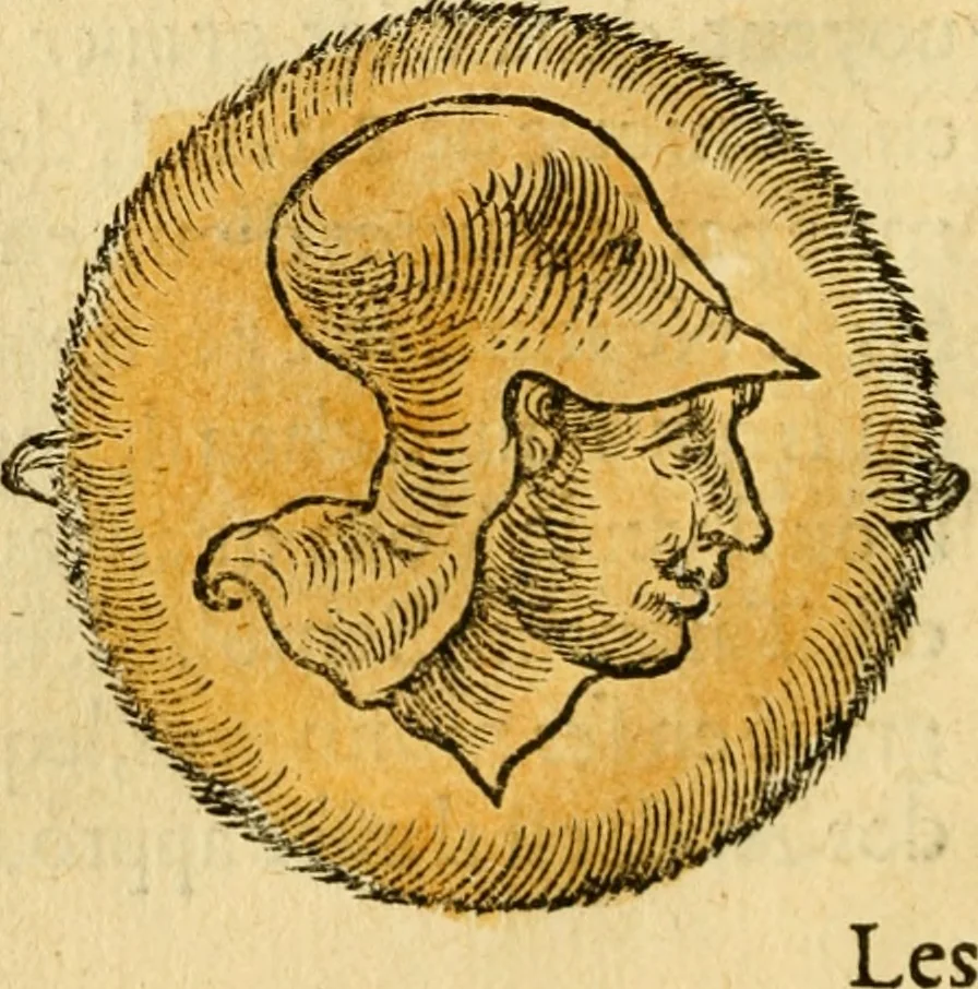 An illustration from L'histoire naturelle des estranges poissons marins, avec la vraie peincture & description du daulphin, & de plusieurs autres de son espece, 1551, leaf 29
