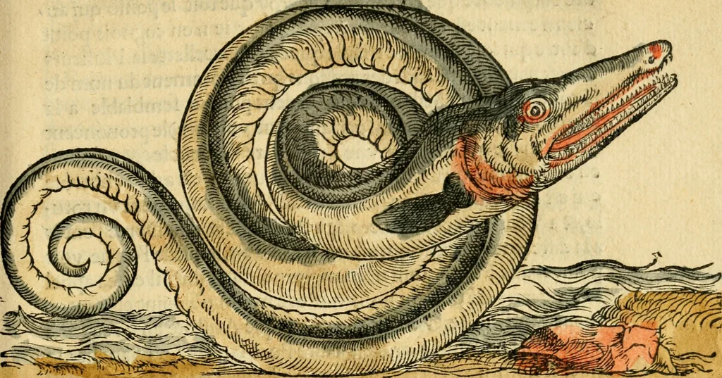 An illustration from L'histoire naturelle des estranges poissons marins, avec la vraie peincture & description du daulphin, & de plusieurs autres de son espece, 1551, leaf 44