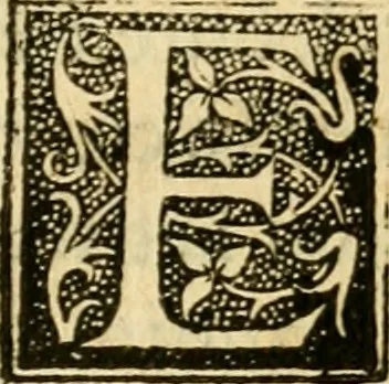 An illustration from L'histoire naturelle des estranges poissons marins, avec la vraie peincture & description du daulphin, & de plusieurs autres de son espece, 1551, leaf 72
