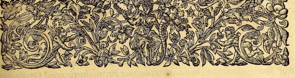 An illustration from L'histoire universelle du sieur d'Aubigné. Premiere [-troisieme] partie, 1616, leaf 407