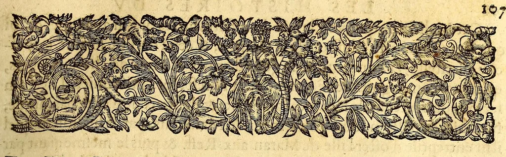 An illustration from L'histoire universelle du sieur d'Aubigné. Premiere [-troisieme] partie, 1616, leaf 111