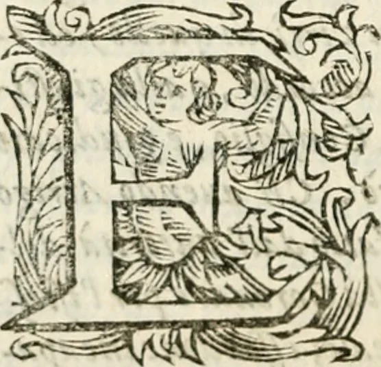 An illustration from L'historia delle gverre civili d'Inghilterra, trà le due case di Lancastro, e Iorc; si descriue in Ricardo II, l'origine di esse, il progresso nelle vite de i rè susseguenti, cioè: di Arrigo IV, V, e Vi, d'Odoardo IV, e V, di Ricardo III, e di Arrigo VII, nel quale finirono, 1647, leaf 575