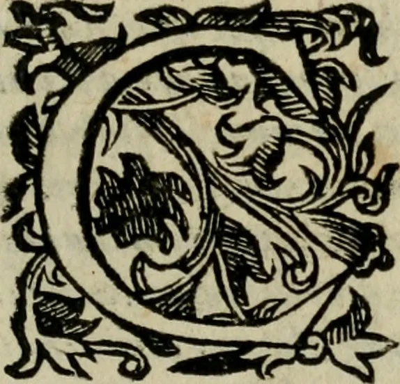 An illustration from L'historia delle gverre civili d'Inghilterra, trà le due case di Lancastro, e Iorc; si descriue in Ricardo II, l'origine di esse, il progresso nelle vite de i rè susseguenti, cioè: di Arrigo IV, V, e Vi, d'Odoardo IV, e V, di Ricardo III, e di Arrigo VII, nel quale finirono, 1647, leaf 748