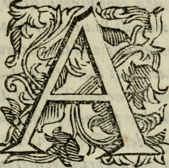 An illustration from L'historia delle gverre civili d'Inghilterra, trà le due case di Lancastro, e Iorc; si descriue in Ricardo II, l'origine di esse, il progresso nelle vite de i rè susseguenti, cioè: di Arrigo IV, V, e Vi, d'Odoardo IV, e V, di Ricardo III, e di Arrigo VII, nel quale finirono, 1647, leaf 802