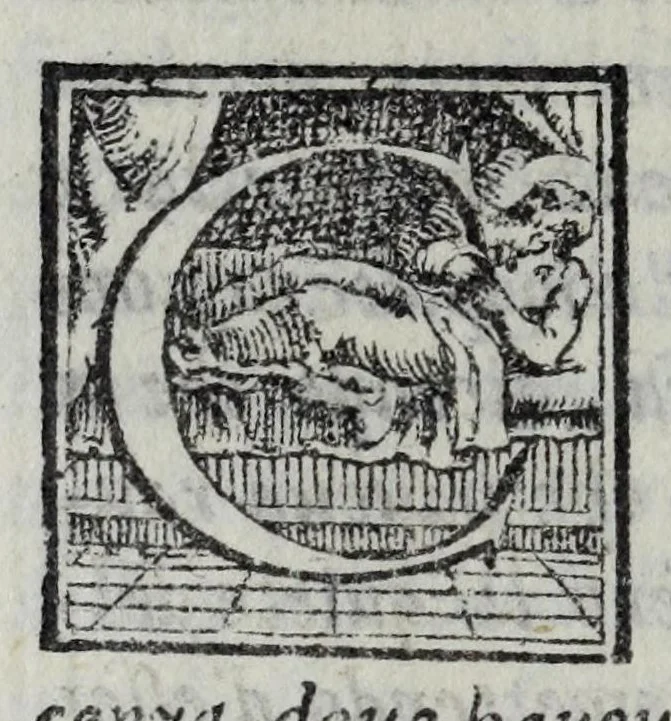 An illustration from L'historia di Milano, 1565, leaf 462