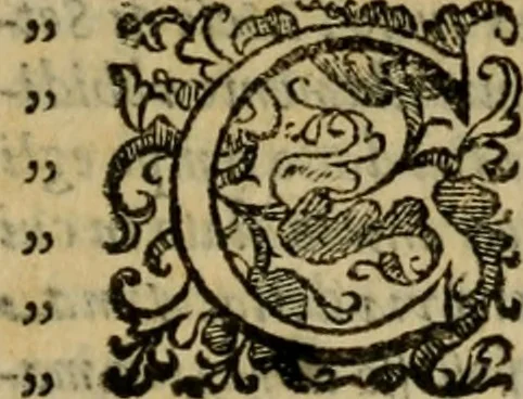 An illustration from L'historia ecclesiastica della rivolvzion d'Inghilterra : divisa in libri qvattro, ne' qvali si tratta di qvello ch'e avvenvto in quell'isola, da chè Arrigo Ottauo cominciò à pensare di ripudiar Caterina sua legittima moglie, infino à quest'vltimi anni di Lisabetta, vltima sua figliuola, 1594, leaf 116