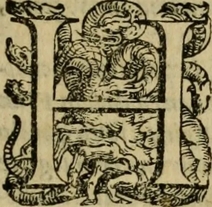 An illustration from L'historia ecclesiastica della rivolvzion d'Inghilterra : divisa in libri qvattro, ne' qvali si tratta di qvello ch'e avvenvto in quell'isola, da chè Arrigo Ottauo cominciò à pensare di ripudiar Caterina sua legittima moglie, infino à quest'vltimi anni di Lisabetta, vltima sua figliuola, 1594, leaf 118