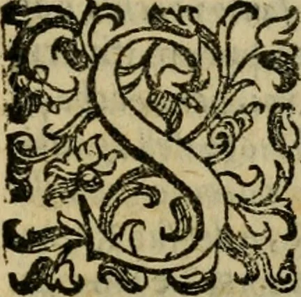 An illustration from L'historia ecclesiastica della rivolvzion d'Inghilterra : divisa in libri qvattro, ne' qvali si tratta di qvello ch'e avvenvto in quell'isola, da chè Arrigo Ottauo cominciò à pensare di ripudiar Caterina sua legittima moglie, infino à quest'vltimi anni di Lisabetta, vltima sua figliuola, 1594, leaf 130
