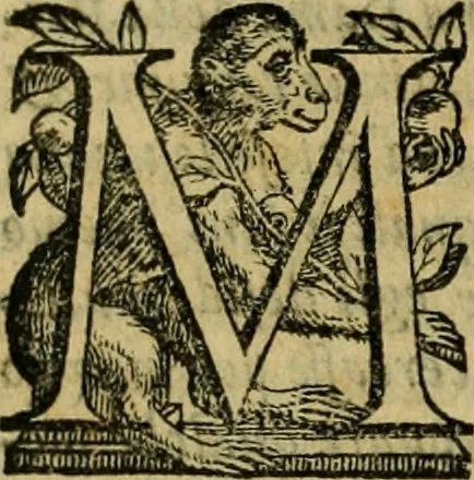 An illustration from L'historia ecclesiastica della rivolvzion d'Inghilterra : divisa in libri qvattro, ne' qvali si tratta di qvello ch'e avvenvto in quell'isola, da chè Arrigo Ottauo cominciò à pensare di ripudiar Caterina sua legittima moglie, infino à quest'vltimi anni di Lisabetta, vltima sua figliuola, 1594, leaf 157