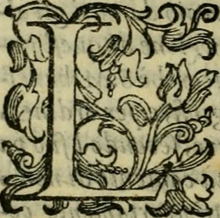 An illustration from L'historia ecclesiastica della rivolvzion d'Inghilterra : divisa in libri qvattro, ne' qvali si tratta di qvello ch'e avvenvto in quell'isola, da chè Arrigo Ottauo cominciò à pensare di ripudiar Caterina sua legittima moglie, infino à quest'vltimi anni di Lisabetta, vltima sua figliuola, 1594, leaf 187