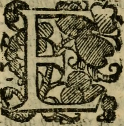 An illustration from L'historia ecclesiastica della rivolvzion d'Inghilterra : divisa in libri qvattro, ne' qvali si tratta di qvello ch'e avvenvto in quell'isola, da chè Arrigo Ottauo cominciò à pensare di ripudiar Caterina sua legittima moglie, infino à quest'vltimi anni di Lisabetta, vltima sua figliuola, 1594, leaf 192