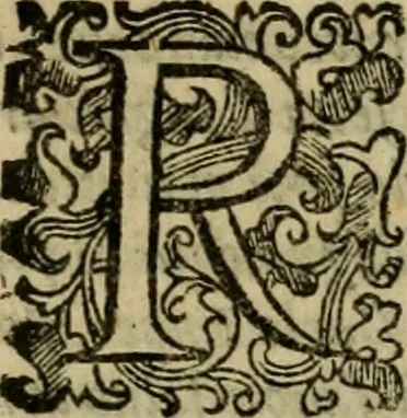 An illustration from L'historia ecclesiastica della rivolvzion d'Inghilterra : divisa in libri qvattro, ne' qvali si tratta di qvello ch'e avvenvto in quell'isola, da chè Arrigo Ottauo cominciò à pensare di ripudiar Caterina sua legittima moglie, infino à quest'vltimi anni di Lisabetta, vltima sua figliuola, 1594, leaf 194