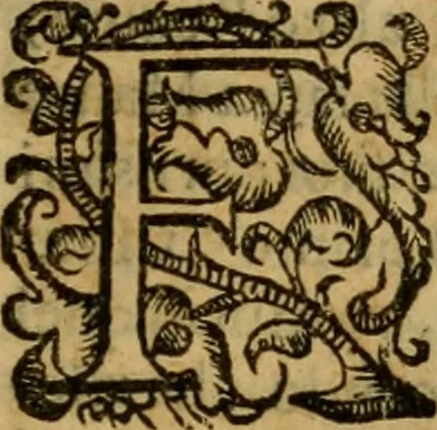 An illustration from L'historia ecclesiastica della rivolvzion d'Inghilterra : divisa in libri qvattro, ne' qvali si tratta di qvello ch'e avvenvto in quell'isola, da chè Arrigo Ottauo cominciò à pensare di ripudiar Caterina sua legittima moglie, infino à quest'vltimi anni di Lisabetta, vltima sua figliuola, 1594, leaf 20