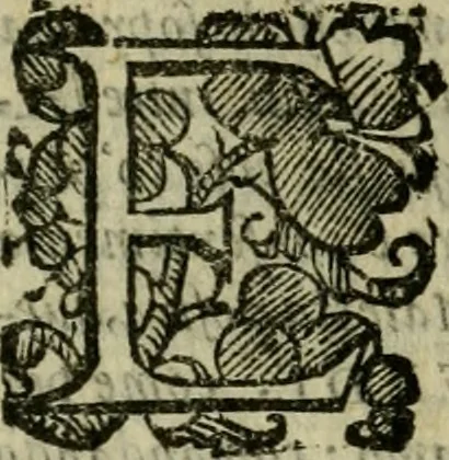An illustration from L'historia ecclesiastica della rivolvzion d'Inghilterra : divisa in libri qvattro, ne' qvali si tratta di qvello ch'e avvenvto in quell'isola, da chè Arrigo Ottauo cominciò à pensare di ripudiar Caterina sua legittima moglie, infino à quest'vltimi anni di Lisabetta, vltima sua figliuola, 1594, leaf 209