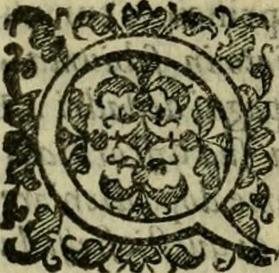 An illustration from L'historia ecclesiastica della rivolvzion d'Inghilterra : divisa in libri qvattro, ne' qvali si tratta di qvello ch'e avvenvto in quell'isola, da chè Arrigo Ottauo cominciò à pensare di ripudiar Caterina sua legittima moglie, infino à quest'vltimi anni di Lisabetta, vltima sua figliuola, 1594, leaf 213