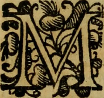 An illustration from L'historia ecclesiastica della rivolvzion d'Inghilterra : divisa in libri qvattro, ne' qvali si tratta di qvello ch'e avvenvto in quell'isola, da chè Arrigo Ottauo cominciò à pensare di ripudiar Caterina sua legittima moglie, infino à quest'vltimi anni di Lisabetta, vltima sua figliuola, 1594, leaf 220