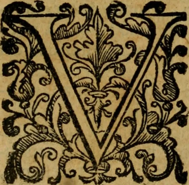 An illustration from L'historia ecclesiastica della rivolvzion d'Inghilterra : divisa in libri qvattro, ne' qvali si tratta di qvello ch'e avvenvto in quell'isola, da chè Arrigo Ottauo cominciò à pensare di ripudiar Caterina sua legittima moglie, infino à quest'vltimi anni di Lisabetta, vltima sua figliuola, 1594, leaf 224