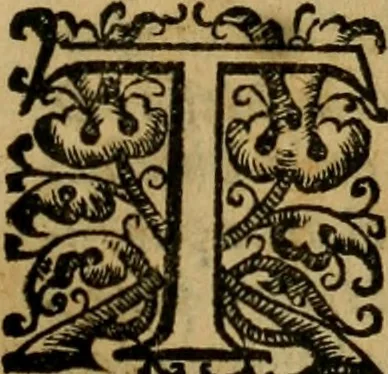 An illustration from L'historia ecclesiastica della rivolvzion d'Inghilterra : divisa in libri qvattro, ne' qvali si tratta di qvello ch'e avvenvto in quell'isola, da chè Arrigo Ottauo cominciò à pensare di ripudiar Caterina sua legittima moglie, infino à quest'vltimi anni di Lisabetta, vltima sua figliuola, 1594, leaf 246
