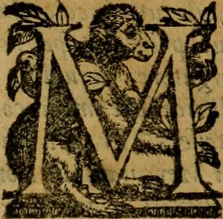 An illustration from L'historia ecclesiastica della rivolvzion d'Inghilterra : divisa in libri qvattro, ne' qvali si tratta di qvello ch'e avvenvto in quell'isola, da chè Arrigo Ottauo cominciò à pensare di ripudiar Caterina sua legittima moglie, infino à quest'vltimi anni di Lisabetta, vltima sua figliuola, 1594, leaf 264