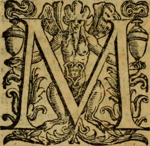 An illustration from L'historia ecclesiastica della rivolvzion d'Inghilterra : divisa in libri qvattro, ne' qvali si tratta di qvello ch'e avvenvto in quell'isola, da chè Arrigo Ottauo cominciò à pensare di ripudiar Caterina sua legittima moglie, infino à quest'vltimi anni di Lisabetta, vltima sua figliuola, 1594, leaf 28