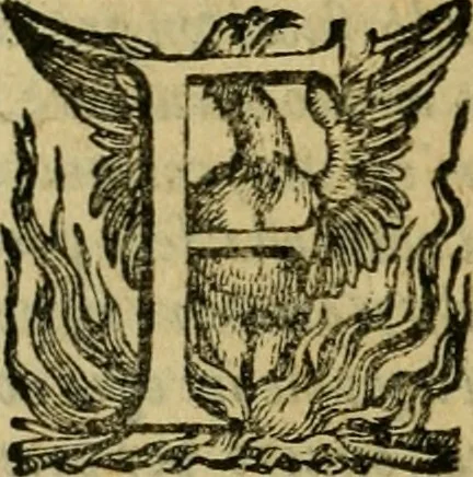 An illustration from L'historia ecclesiastica della rivolvzion d'Inghilterra : divisa in libri qvattro, ne' qvali si tratta di qvello ch'e avvenvto in quell'isola, da chè Arrigo Ottauo cominciò à pensare di ripudiar Caterina sua legittima moglie, infino à quest'vltimi anni di Lisabetta, vltima sua figliuola, 1594, leaf 281