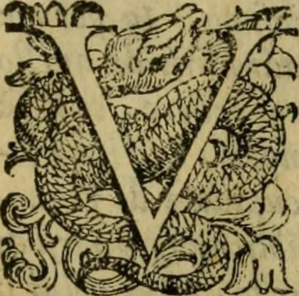 An illustration from L'historia ecclesiastica della rivolvzion d'Inghilterra : divisa in libri qvattro, ne' qvali si tratta di qvello ch'e avvenvto in quell'isola, da chè Arrigo Ottauo cominciò à pensare di ripudiar Caterina sua legittima moglie, infino à quest'vltimi anni di Lisabetta, vltima sua figliuola, 1594, leaf 296