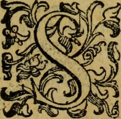 An illustration from L'historia ecclesiastica della rivolvzion d'Inghilterra : divisa in libri qvattro, ne' qvali si tratta di qvello ch'e avvenvto in quell'isola, da chè Arrigo Ottauo cominciò à pensare di ripudiar Caterina sua legittima moglie, infino à quest'vltimi anni di Lisabetta, vltima sua figliuola, 1594, leaf 296