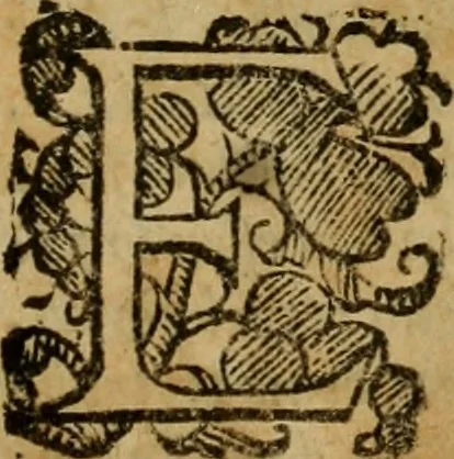 An illustration from L'historia ecclesiastica della rivolvzion d'Inghilterra : divisa in libri qvattro, ne' qvali si tratta di qvello ch'e avvenvto in quell'isola, da chè Arrigo Ottauo cominciò à pensare di ripudiar Caterina sua legittima moglie, infino à quest'vltimi anni di Lisabetta, vltima sua figliuola, 1594, leaf 300