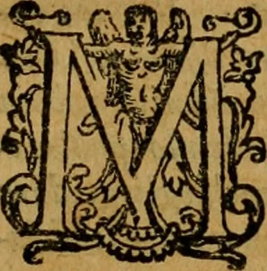 An illustration from L'historia ecclesiastica della rivolvzion d'Inghilterra : divisa in libri qvattro, ne' qvali si tratta di qvello ch'e avvenvto in quell'isola, da chè Arrigo Ottauo cominciò à pensare di ripudiar Caterina sua legittima moglie, infino à quest'vltimi anni di Lisabetta, vltima sua figliuola, 1594, leaf 304