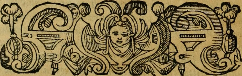 An illustration from L'historia ecclesiastica della rivolvzion d'Inghilterra : divisa in libri qvattro, ne' qvali si tratta di qvello ch'e avvenvto in quell'isola, da chè Arrigo Ottauo cominciò à pensare di ripudiar Caterina sua legittima moglie, infino à quest'vltimi anni di Lisabetta, vltima sua figliuola, 1594, leaf 309