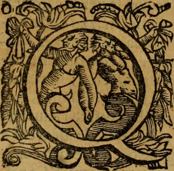 An illustration from L'historia ecclesiastica della rivolvzion d'Inghilterra : divisa in libri qvattro, ne' qvali si tratta di qvello ch'e avvenvto in quell'isola, da chè Arrigo Ottauo cominciò à pensare di ripudiar Caterina sua legittima moglie, infino à quest'vltimi anni di Lisabetta, vltima sua figliuola, 1594, leaf 310
