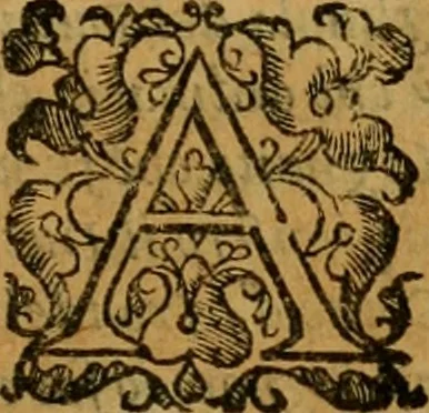 An illustration from L'historia ecclesiastica della rivolvzion d'Inghilterra : divisa in libri qvattro, ne' qvali si tratta di qvello ch'e avvenvto in quell'isola, da chè Arrigo Ottauo cominciò à pensare di ripudiar Caterina sua legittima moglie, infino à quest'vltimi anni di Lisabetta, vltima sua figliuola, 1594, leaf 382
