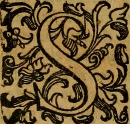An illustration from L'historia ecclesiastica della rivolvzion d'Inghilterra : divisa in libri qvattro, ne' qvali si tratta di qvello ch'e avvenvto in quell'isola, da chè Arrigo Ottauo cominciò à pensare di ripudiar Caterina sua legittima moglie, infino à quest'vltimi anni di Lisabetta, vltima sua figliuola, 1594, leaf 386