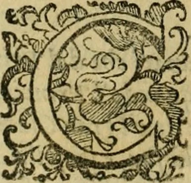 An illustration from L'historia ecclesiastica della rivolvzion d'Inghilterra : divisa in libri qvattro, ne' qvali si tratta di qvello ch'e avvenvto in quell'isola, da chè Arrigo Ottauo cominciò à pensare di ripudiar Caterina sua legittima moglie, infino à quest'vltimi anni di Lisabetta, vltima sua figliuola, 1594, leaf 399