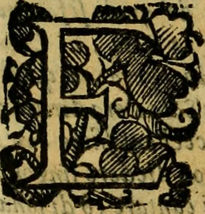 An illustration from L'historia ecclesiastica della rivolvzion d'Inghilterra : divisa in libri qvattro, ne' qvali si tratta di qvello ch'e avvenvto in quell'isola, da chè Arrigo Ottauo cominciò à pensare di ripudiar Caterina sua legittima moglie, infino à quest'vltimi anni di Lisabetta, vltima sua figliuola, 1594, leaf 401