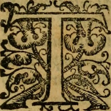 An illustration from L'historia ecclesiastica della rivolvzion d'Inghilterra : divisa in libri qvattro, ne' qvali si tratta di qvello ch'e avvenvto in quell'isola, da chè Arrigo Ottauo cominciò à pensare di ripudiar Caterina sua legittima moglie, infino à quest'vltimi anni di Lisabetta, vltima sua figliuola, 1594, leaf 414