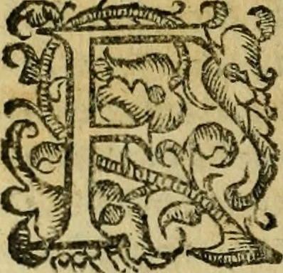 An illustration from L'historia ecclesiastica della rivolvzion d'Inghilterra : divisa in libri qvattro, ne' qvali si tratta di qvello ch'e avvenvto in quell'isola, da chè Arrigo Ottauo cominciò à pensare di ripudiar Caterina sua legittima moglie, infino à quest'vltimi anni di Lisabetta, vltima sua figliuola, 1594, leaf 423
