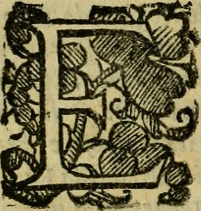 An illustration from L'historia ecclesiastica della rivolvzion d'Inghilterra : divisa in libri qvattro, ne' qvali si tratta di qvello ch'e avvenvto in quell'isola, da chè Arrigo Ottauo cominciò à pensare di ripudiar Caterina sua legittima moglie, infino à quest'vltimi anni di Lisabetta, vltima sua figliuola, 1594, leaf 437