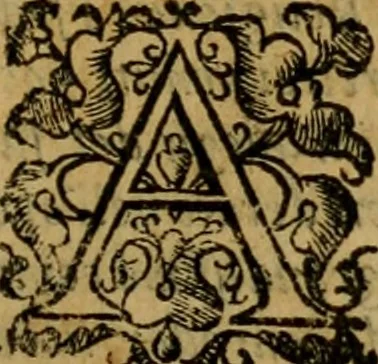 An illustration from L'historia ecclesiastica della rivolvzion d'Inghilterra : divisa in libri qvattro, ne' qvali si tratta di qvello ch'e avvenvto in quell'isola, da chè Arrigo Ottauo cominciò à pensare di ripudiar Caterina sua legittima moglie, infino à quest'vltimi anni di Lisabetta, vltima sua figliuola, 1594, leaf 456