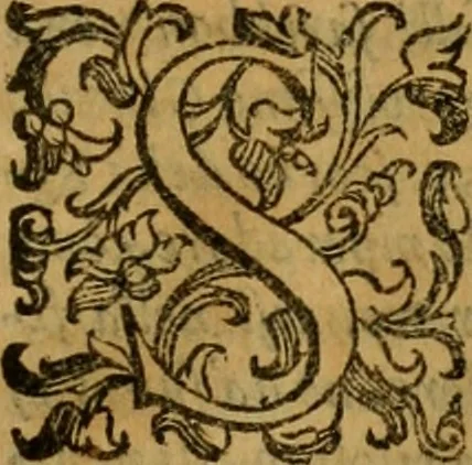 An illustration from L'historia ecclesiastica della rivolvzion d'Inghilterra : divisa in libri qvattro, ne' qvali si tratta di qvello ch'e avvenvto in quell'isola, da chè Arrigo Ottauo cominciò à pensare di ripudiar Caterina sua legittima moglie, infino à quest'vltimi anni di Lisabetta, vltima sua figliuola, 1594, leaf 474