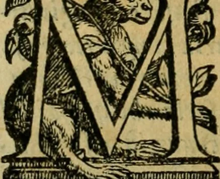 An illustration from L'historia ecclesiastica della rivolvzion d'Inghilterra : divisa in libri qvattro, ne' qvali si tratta di qvello ch'e avvenvto in quell'isola, da chè Arrigo Ottauo cominciò à pensare di ripudiar Caterina sua legittima moglie, infino à quest'vltimi anni di Lisabetta, vltima sua figliuola, 1594, leaf 479