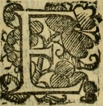 An illustration from L'historia ecclesiastica della rivolvzion d'Inghilterra : divisa in libri qvattro, ne' qvali si tratta di qvello ch'e avvenvto in quell'isola, da chè Arrigo Ottauo cominciò à pensare di ripudiar Caterina sua legittima moglie, infino à quest'vltimi anni di Lisabetta, vltima sua figliuola, 1594, leaf 49