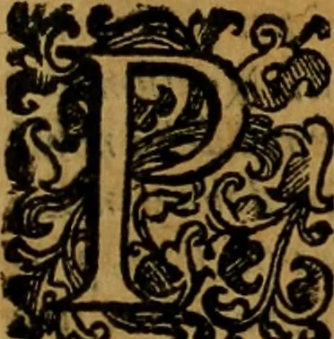 An illustration from L'historia ecclesiastica della rivolvzion d'Inghilterra : divisa in libri qvattro, ne' qvali si tratta di qvello ch'e avvenvto in quell'isola, da chè Arrigo Ottauo cominciò à pensare di ripudiar Caterina sua legittima moglie, infino à quest'vltimi anni di Lisabetta, vltima sua figliuola, 1594, leaf 492