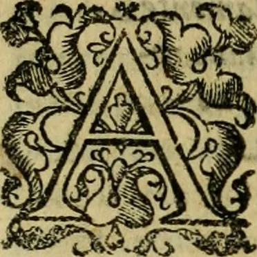 An illustration from L'historia ecclesiastica della rivolvzion d'Inghilterra : divisa in libri qvattro, ne' qvali si tratta di qvello ch'e avvenvto in quell'isola, da chè Arrigo Ottauo cominciò à pensare di ripudiar Caterina sua legittima moglie, infino à quest'vltimi anni di Lisabetta, vltima sua figliuola, 1594, leaf 533