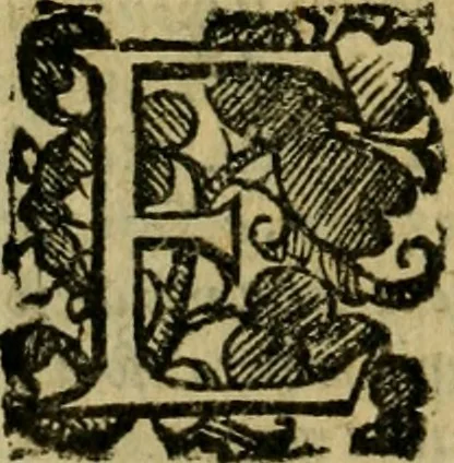 An illustration from L'historia ecclesiastica della rivolvzion d'Inghilterra : divisa in libri qvattro, ne' qvali si tratta di qvello ch'e avvenvto in quell'isola, da chè Arrigo Ottauo cominciò à pensare di ripudiar Caterina sua legittima moglie, infino à quest'vltimi anni di Lisabetta, vltima sua figliuola, 1594, leaf 55